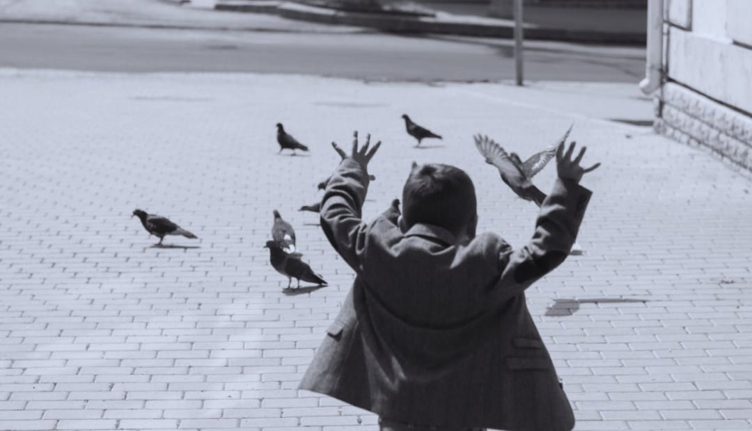 une-femme-agee-tenant-un-livre-de-recettes-de-grand-mere-avec-une-image-de-pigeons-effrayes-qui-senvolent-en-arriere-plan