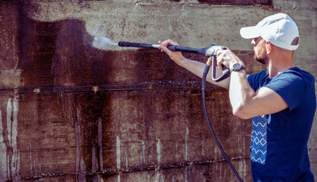 Une allée en béton lavé entourée de plantes vertes, offrant une solution esthétique et durable pour vos aménagements extérieurs.