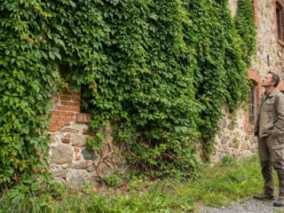 A man observes a stone and brick building facade heavily covered in vibrant green Virginia creeper, suggesting an overgrowth challenge.